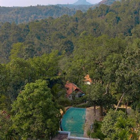 Willow Resorts Ambalavayal Екстер'єр фото